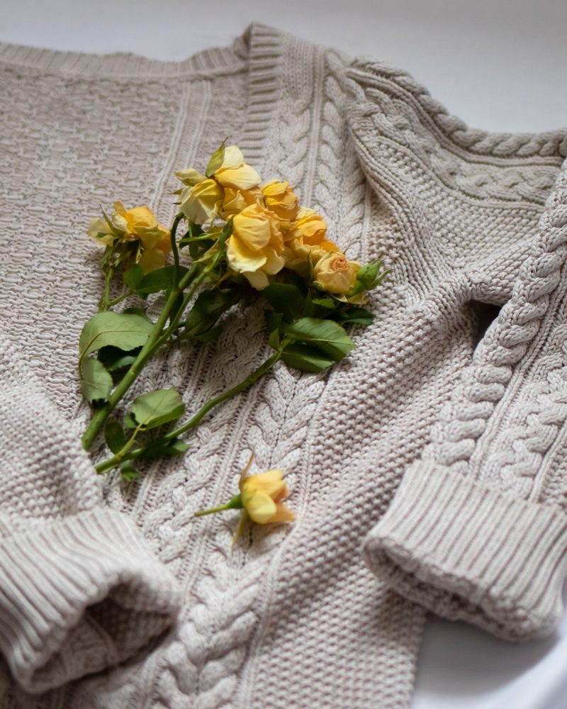 Fern Ribbed Merino Crew sweater in oat
